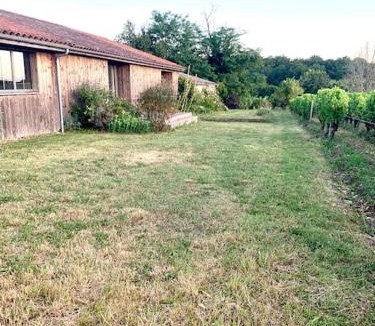 Sauternes Villa | Villa vignoble Sauternes et spa