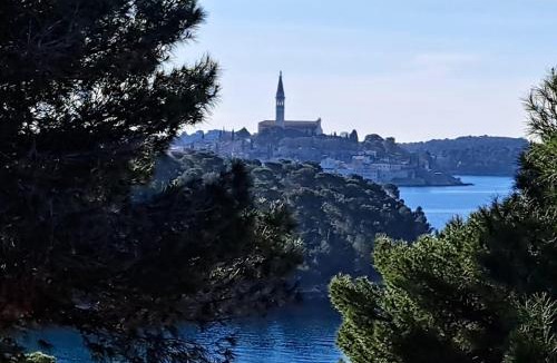 Borik Villa | Villa Vista Rovinj - NEW 2024 !