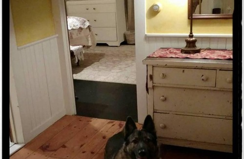 Reading House | Village Farmhouse, mins to Okemo, Killington, Ascutney, GMHA. Pet-friendly.