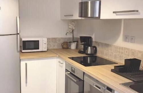 La Cote-Saint-Andre House | Village house facing the castle Pets welcome