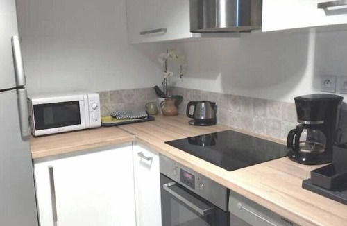 La Cote-Saint-Andre House | Village house facing the castle Pets welcome