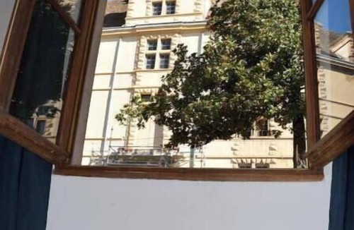 La Cote-Saint-Andre House | Village house facing the castle Pets welcome