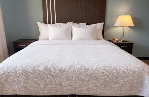 Point Edward Hotel | Village Inn & Suites
