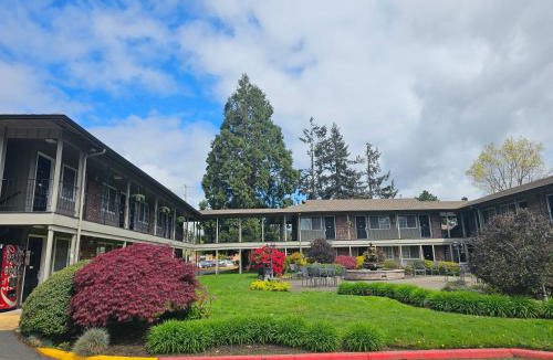 Springfield Hotel | Village Inn