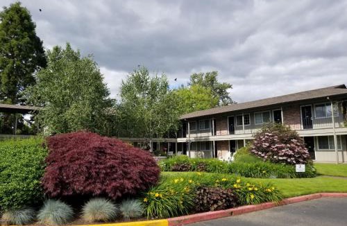 Springfield Hotel | Village Inn