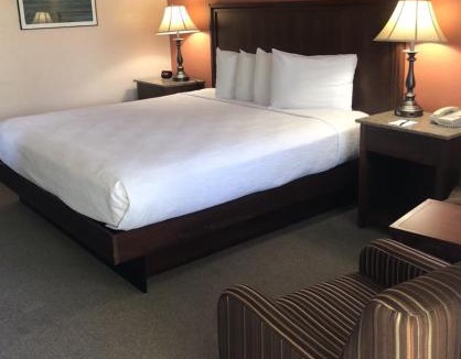 Springfield Hotel | Village Inn