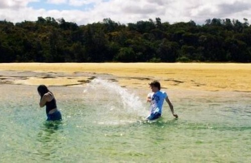 Mallacoota House | Village View Unit 1 Mallacoota