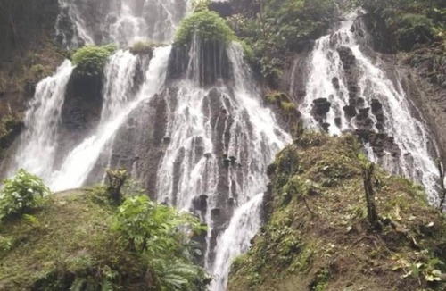 Klojen Bed & Breakfast | villas in batu indonesia Homestay Real