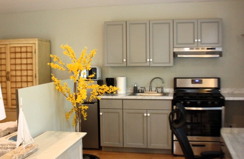 Tallahassee Apartment | Villas @ Lake Ella: 1br/2queen-1bth-Kitchenette