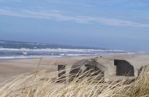 Lodbjerg Hede House | VillaVilla 918 - Søndervig, Vestjylland
