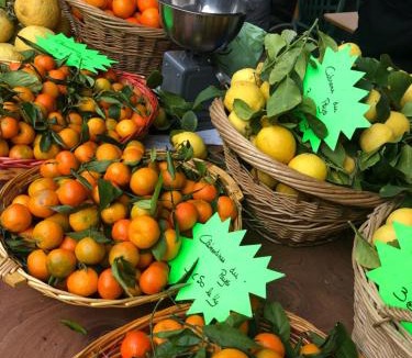 Old Town Apartment | Villawoho