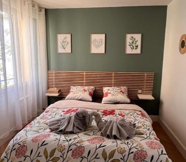 Villemur-sur-Tarn Apartment | Villemur Cosy