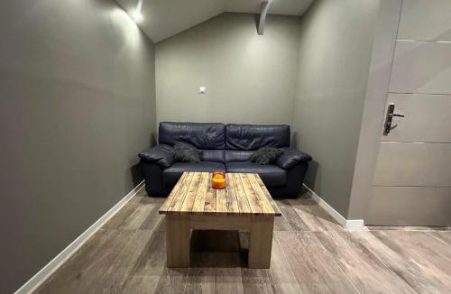 Perralliere Apartment | Villeurbanne FLACHET