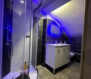 Perralliere Apartment | Villeurbanne FLACHET