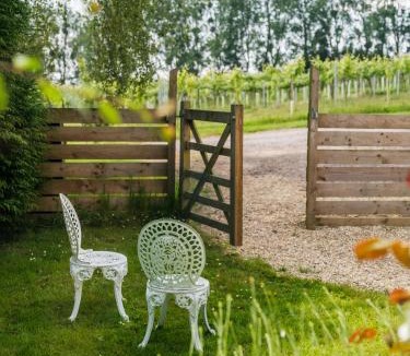 Pylle House | Vine Cottage