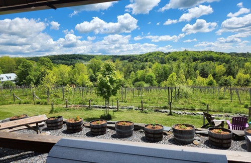 Randolph Cabin | Vineyard Cabin