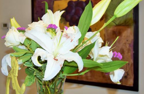 St. Helena Hotel | Vineyard Country Inn