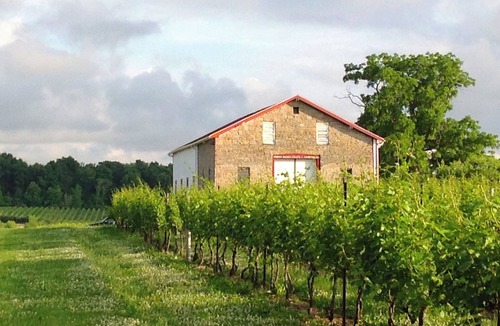Cambria House | Vineyard Manor House at Freedom Run Winery
