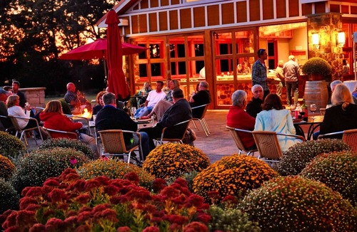 West Cape May Cottage | Vineyard View Cottage 2Bdr