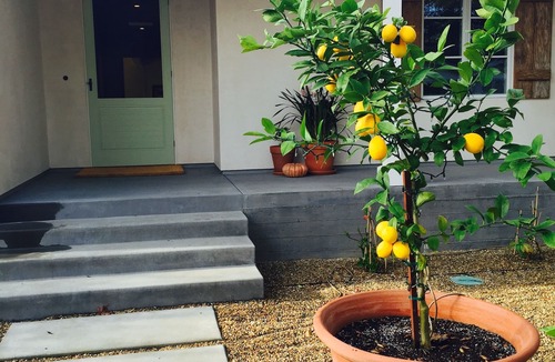 St. Helena House | Vineyard View Walk to Downtown SH