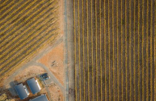 Cornella Apartment | Vineyard Views at Shiraz Republic