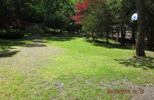 Lakeville House | Vintage 1950's Lakefront Cabin Private Dock, Sunrise Views & Pet Friendly
