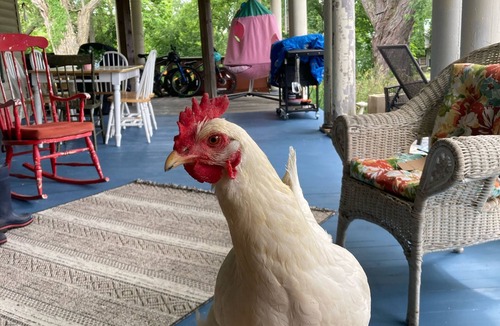 Greenville House | Vintage camper on small farm