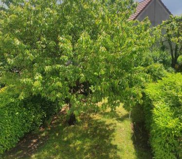 Acheres House | Vintage Crossroads Inn