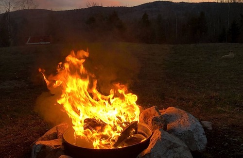 Chatham House | Vintage Groove Bird Bus