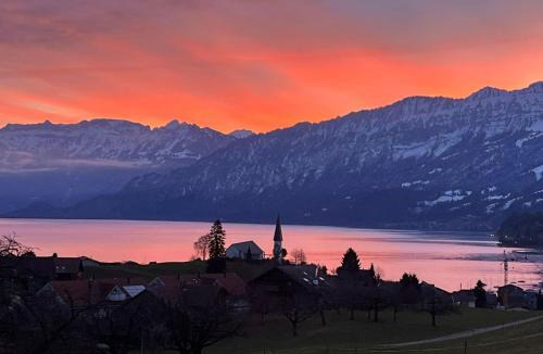 Faulensee House | Vintage Lake View Villa with Outdoor Pool