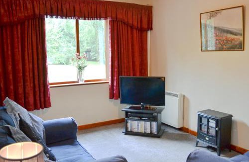 Five Oak Green House | Violets