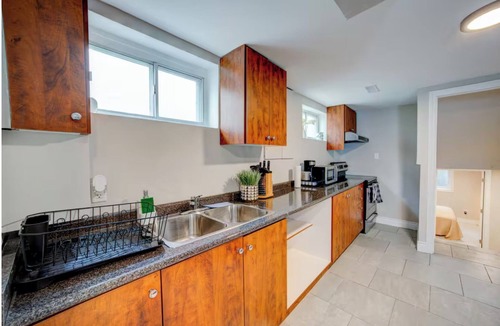 Brampton House | Virbrant urban Oasis
