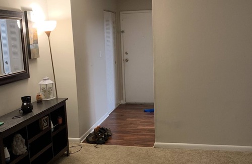 North Central Apartment | Virginia Beach experience