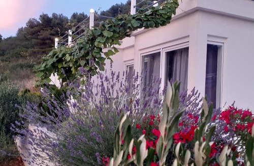 Vis Villa | Vis - luxury holiday villa with swimming pool