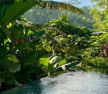 Melayang Villa | Vishnu Villa - Ubud Jungle Retreat with shared pool - C
