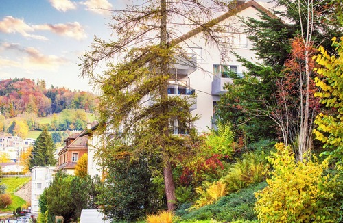 St. Gallen Apartment | VISIMO Apartments Lehnstrasse St Gallen - Stylish, Smart, Connected
