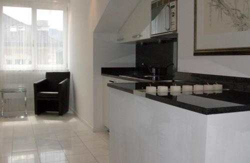 Werd Apartment | VISIONAPARTMENTS Freyastrasse - self check-in