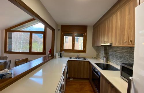 Llorts Apartment | Vitivola Els Esquiadors de Llorts HUT - 8250