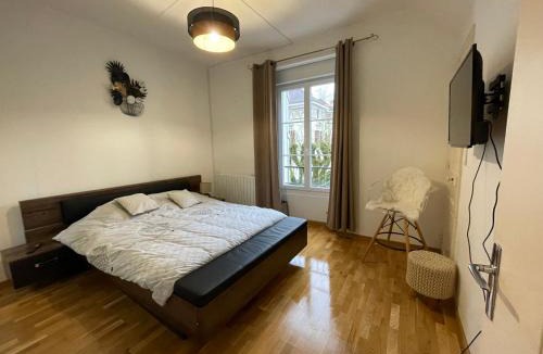 Vittel Apartment | Vittel, Appt 55 m2, en face du parc Thermal