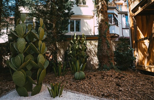 Guebwiller House | Viva Frida ! Unique accommodation with private jacuzzi in Alsace