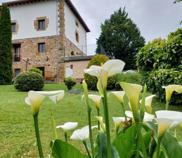 Hornedo House | Vivienda Rural - Apartamentos La Cueva - Hornedo