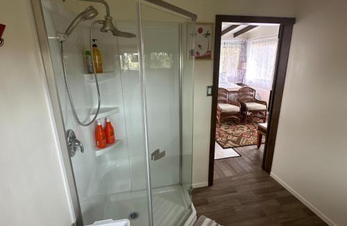 Fern Forest Cabin | Volcano Eco Cabin & Eco Lodge