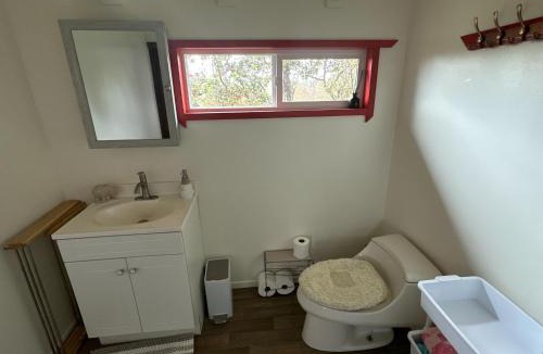 Fern Forest Cabin | Volcano Eco Cabin & Eco Lodge