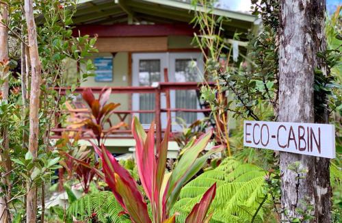 Fern Forest Cabin | Volcano Eco Cabin & Eco Lodge