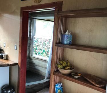 Fern Forest Cabin | Volcano Eco Cabin & Eco Lodge