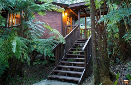 Volcano Bed & Breakfast | Volcano Village Lodge