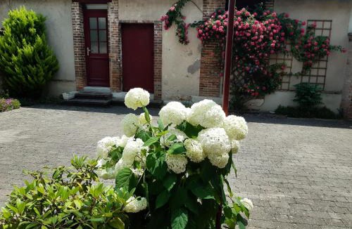 Neuvy-sur-Barangeon Bed & Breakfast | Volets rouges