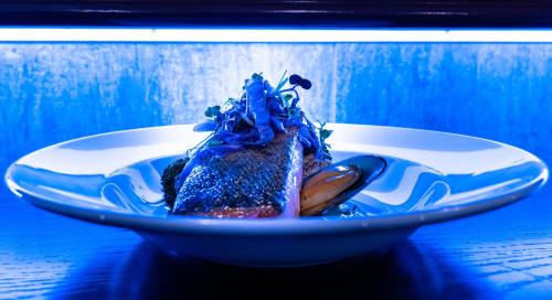 Newton Apartment | VR Queen Street Hotel & Suites