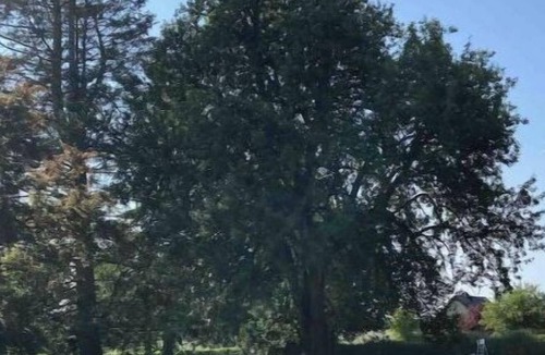 Les Essarts-les-Sezanne Villa | Vrbo Property