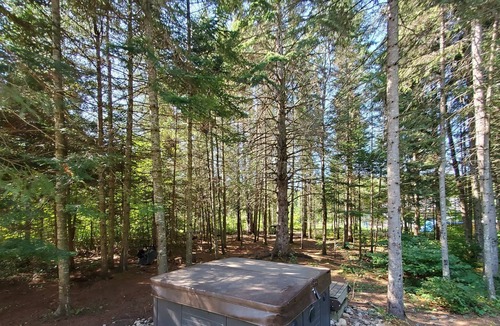 Saint Donat Cabin | Vrbo Property